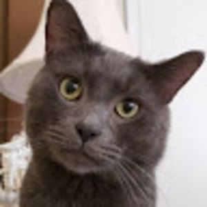 Meet your Posher, Lawrence